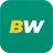 BetWinner логотиби